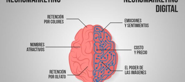 HOSPEMARKETING—AGENCIA DE MARKETING DIGITAL— ++TRABAJAMOS EL NEUROMARKETING –CLAVE EN LAS RESERVAS++
